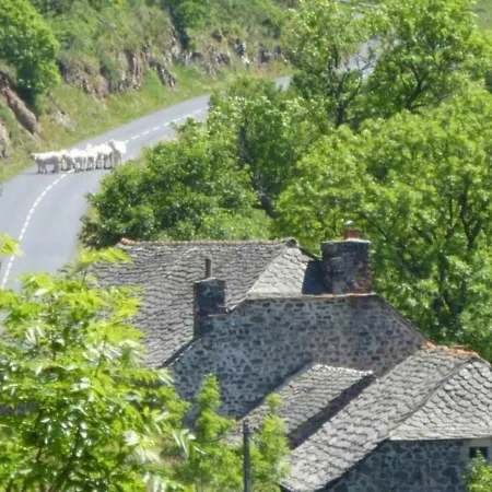 Paisible Et Chaleureux Avec Grande Terrasse - Activites Nature Et Patrimoine A Proximite - Fr-1-582-143 Feriehus
