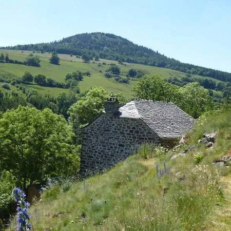 Paisible Et Chaleureux Avec Grande Terrasse - Activites Nature Et Patrimoine A Proximite - Fr-1-582-143 * Les Estables